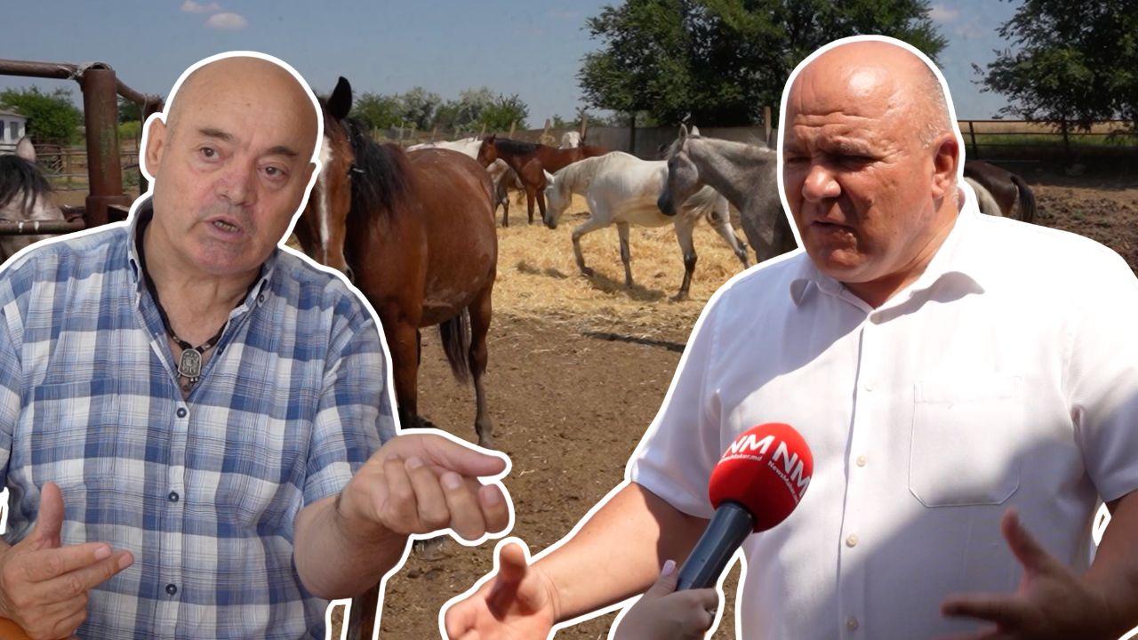 (ВИДЕО) 80 леев на лошадь, а кони едят навоз: что происходит на конеферме в Чадыр-Лунге