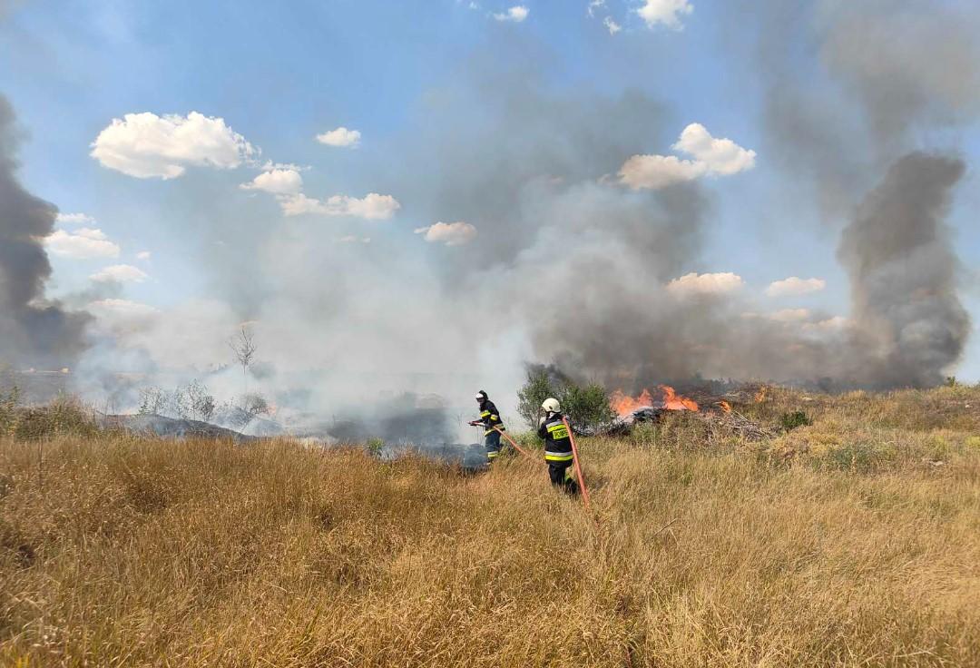 Pompierii au luptat cu 16 incendii de vegetație într-o singură zi. 35 de hectare au fost mistuite de flăcări