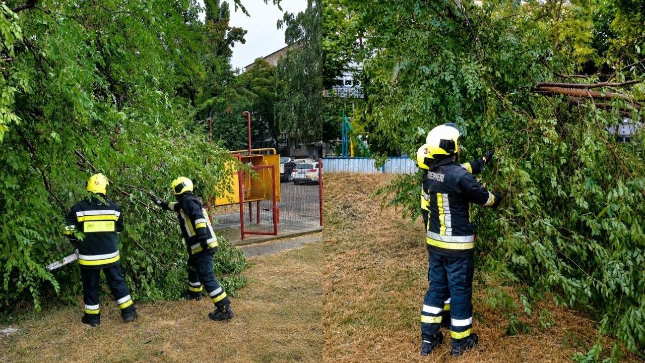 Rafalele puternice de vânt au provocat zeci de intervenții ale salvatorilor. Copaci căzuți în Chișinău, Orhei și alte raioane