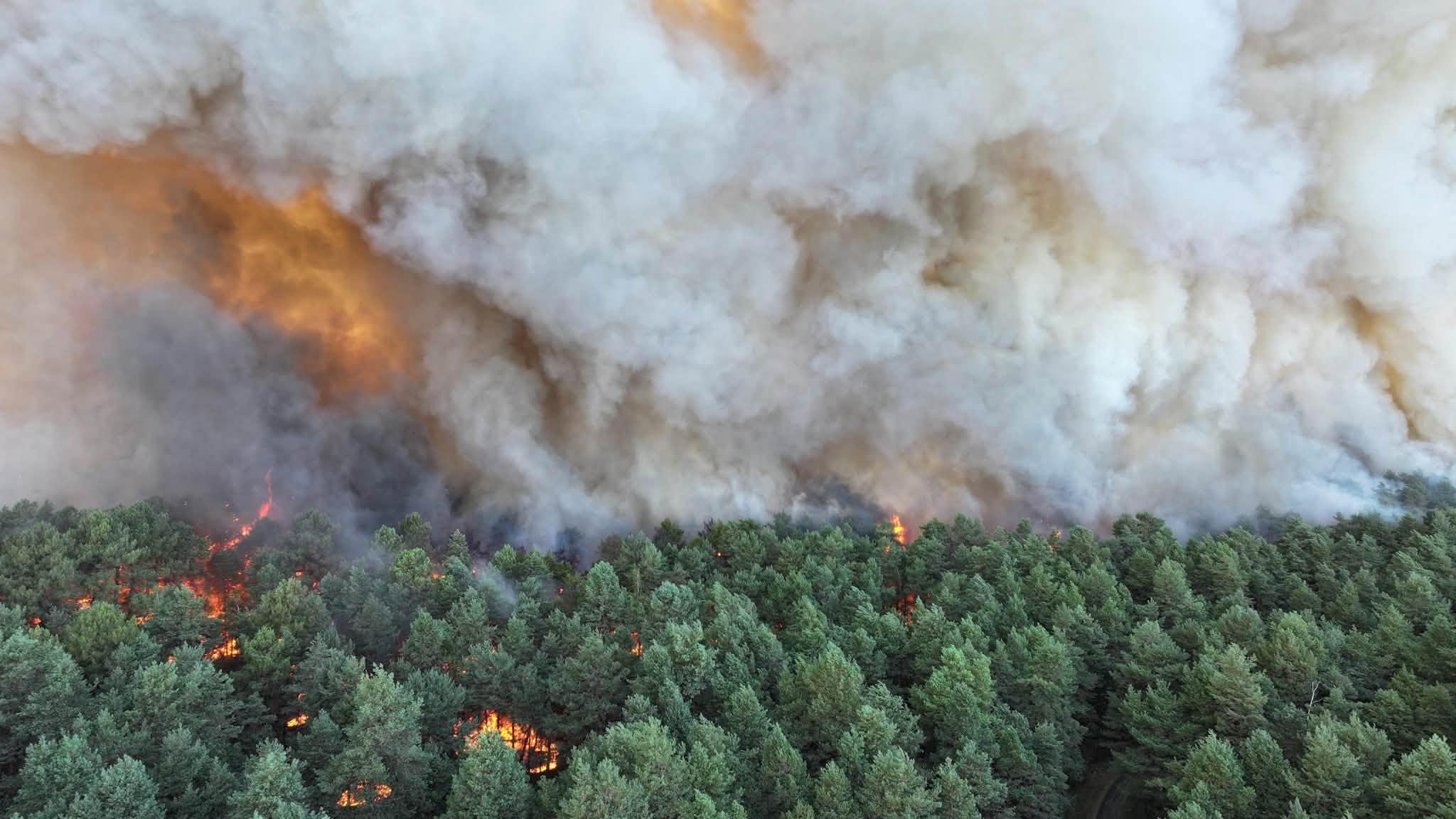 VIDEO | Incendiu de proporții în pădurea Fontainebleau, lângă Paris. Sute de pompieri și avioane de stingere intervin